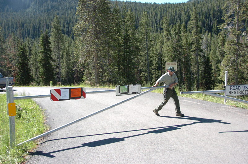 A U.S. Forest Service Employee closes the gate at the entrance to the Soda Butte Campground in Cooke City, Mont., Thursday, after a bear killed one man and injured two other people in the campground Wednesday. A mother grizzly was captured Wednesday evening at the site of the fatal attack.