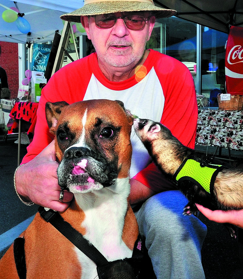 Ed Paine of Avon holds his dog Oscar, who appears to be getting an earful from a ferret held by Shannon Snyder during the two-day Summer Fest event in Farmington. Broadway is closed to traffic for vendors, artists, craftsman and entertainers today.