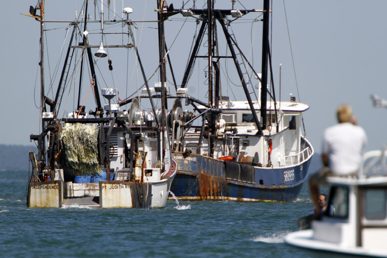 Fishing vessels gather in the Vineyard Haven harbor to draw attention to fishing regulations and oversight that some commercial fishermen say improperly regulates their industry. President Barack Obama is vacationing on the island with his family.