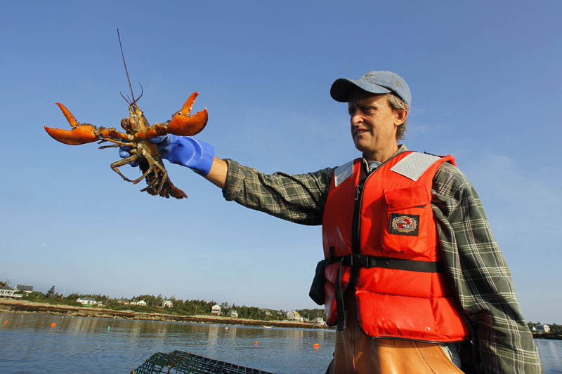 Hussey holds a lobster caught off Matinicus Island.