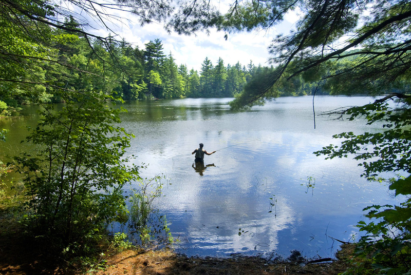 This photo by John Ewing of Spencer Garrett of Portland fly casting near his campsite on Crocker Pond in Albany Township won first place in the feature photo category of the New England Associated Press News Executives Association contest.