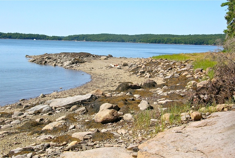Pebble Beach, near Dodge Point, is a lovely place to stop for a swim while paddling the Damariscotta River.