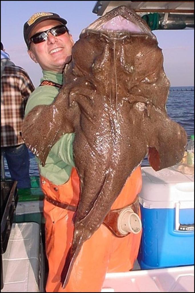 Tony Mazziotti hoists up a 26-pound Tackle-Buster monkfish, also know as a goosefish.