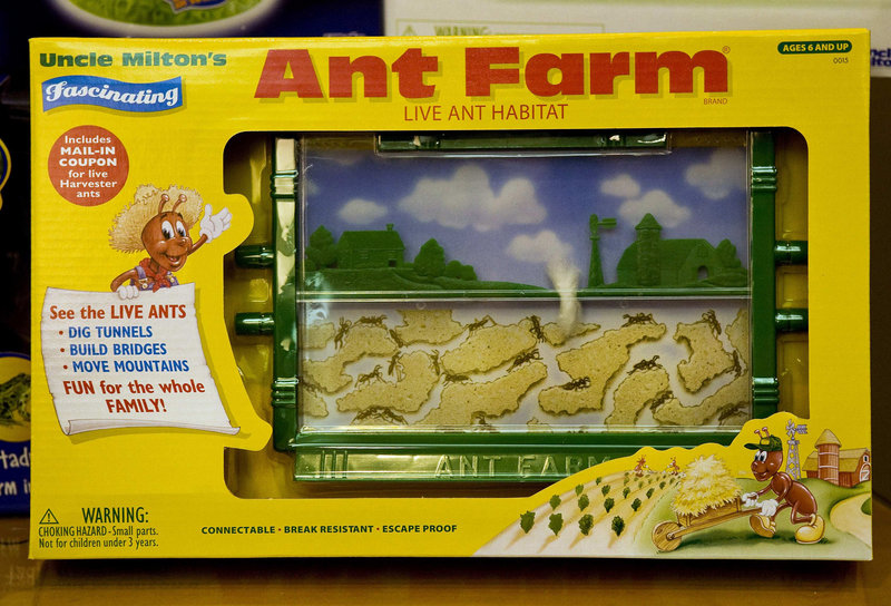 The Ant Farm is displayed at Uncle Milton Industries in Westlake Village, Calif. More than 20 million have sold since 1956, and the procedure for ordering ants has remained unchanged.
