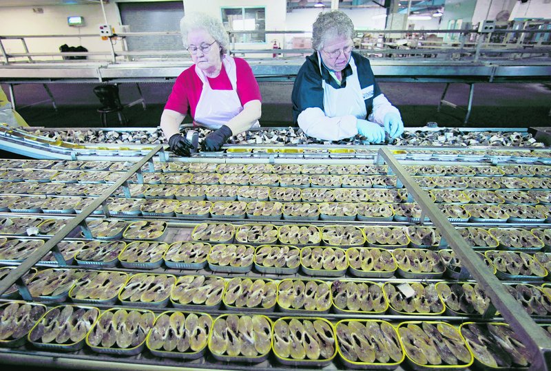 Workers fill cans with sardine steaks at the Stinson cannery in Gouldsboro in April 2010. San Diego-based Bumble Bee closed the plant four months ago, saying fishing limits left too few sardines to pack.