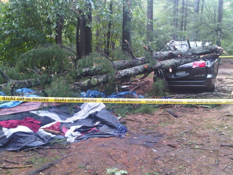 Trees rest on a car after a two-minute storm Monday evening roared through the Flat Rock Bridge Family Resort in Lebanon.