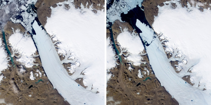 Satellite images from NASA show the Petermann Glacier on July 28 (left photo) and after the ice sheet broke free on Aug. 5. “It’s so big that you can’t prevent it from drifting. You can’t stop it,” says Jon-Ove Methlie Hagen, a glaciologist at the University of Oslo.