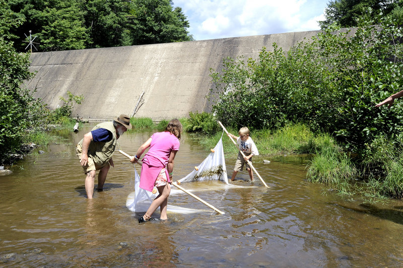 Fred Cichocki, a fisheries biologist, shows Caroline Heyburn, 9, and her brother Henry, 6, how to net small fish below the soon-to-be-removed Lower Montsweag Brook Dam on Thursday as the public toured the Wiscasset site.