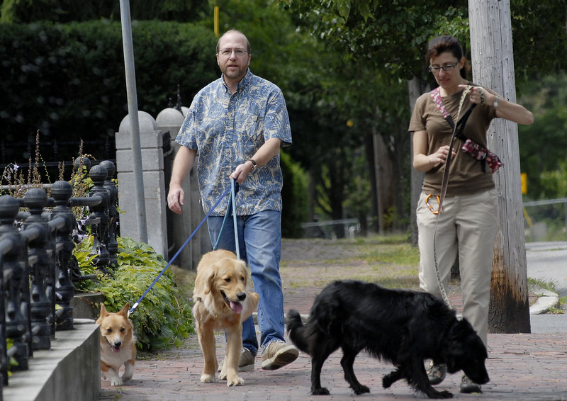 Reporter Ray Routhier walks some charges with dog walker Melissa Letourneau of Portland's Paws in Portland.