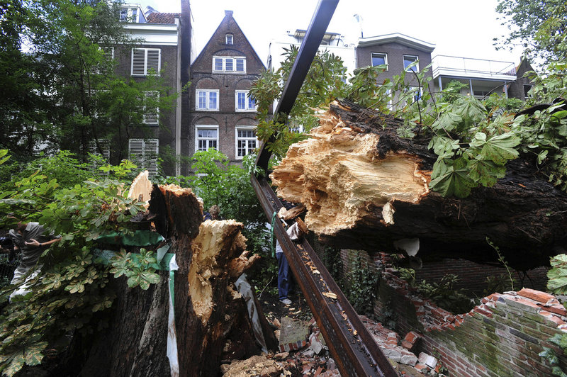 The splintered trunk of the chestnut tree which comforted Anne Frank while she hid from the Nazis during World War II is seen after falling over Monday in Amsterdam, Netherlands. A metal support structure added in 2008 can also be seen.