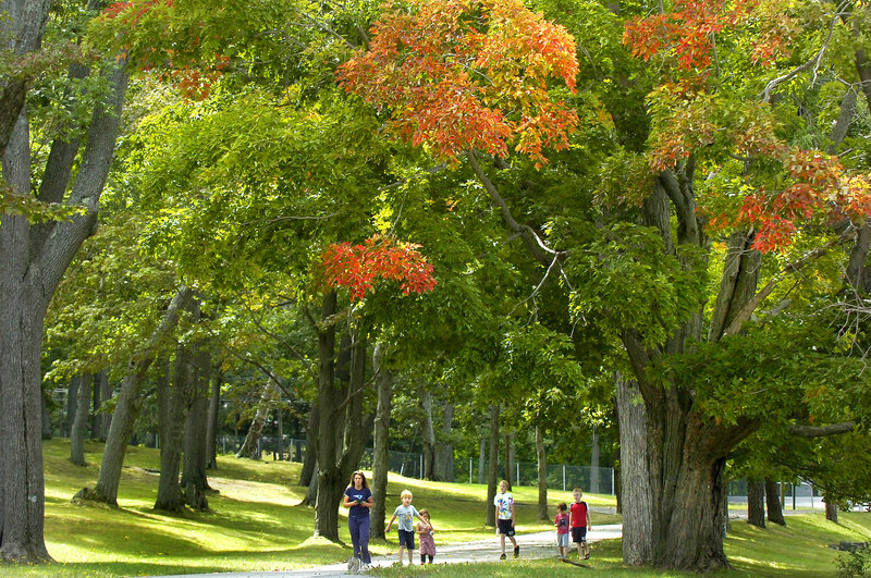 Visitors to Fort Williams Park in Cape Elizabeth stroll under a canopy of green leaves highlighted by a few branches of red and yellow Thursday. Fall foliage colors are beginning to make their appearance on some trees a little early this year.