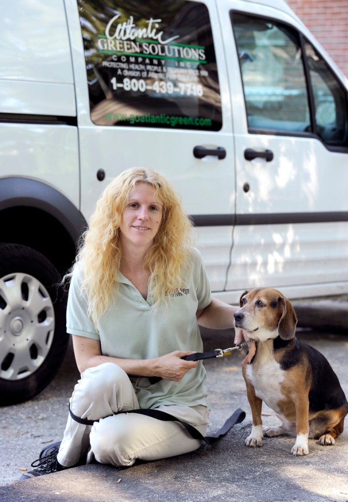 Deirdre Strout and beagle Cassie, working for Atlantic Pest Solutions, had 25 inspection appointments in Portland on Monday to root out bedbugs. Dogs can find living bugs or eggs in far less time than humans can.