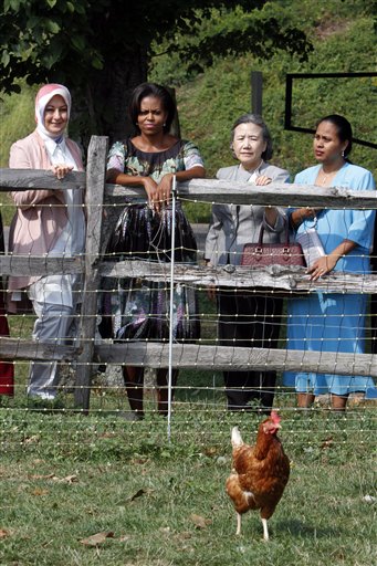 Turkish first lady Hayrunnisa Gul, left, first lady Michelle Obama , second from left, the U.N. Secretary-General 's wife Ban Soon-taek, and Republic of Kiribati first lady Meme Tong take a tour of the chicken coop.