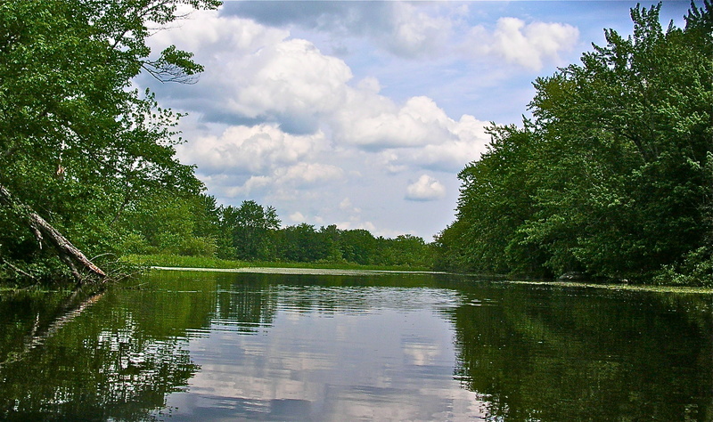 The narrow eastern reaches of Plymouth Pond take paddlers far from traffic noise and into a beautiful world of forest and marsh. The 480-acre pond is part of the Sebasticook River drainage, the Kennebec RiverÃ¢ÂÂs largest watershed.