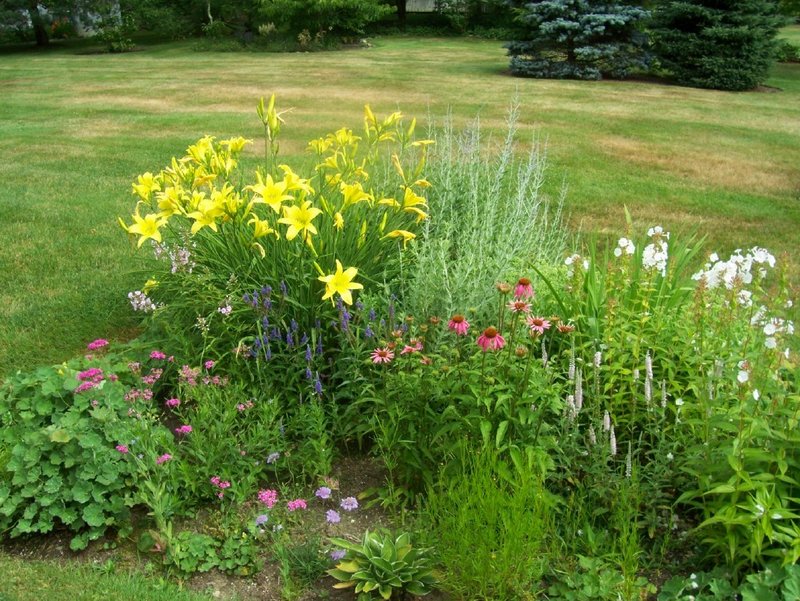A late-season garden with different textures and colors.
