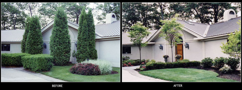 Structure is important in a perennial garden, particularly in the front of the house. At left, overgrown plantings were obscuring the facade. They were removed, at right, to make way for more appropriately sized plants of different colors and textures for maximum interest.