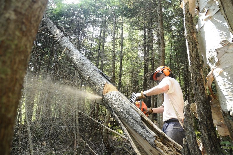 The first part of the project will begin immediately on neighboring Burnt Mountain and will include 270 acres of new glades to be cut this winter.