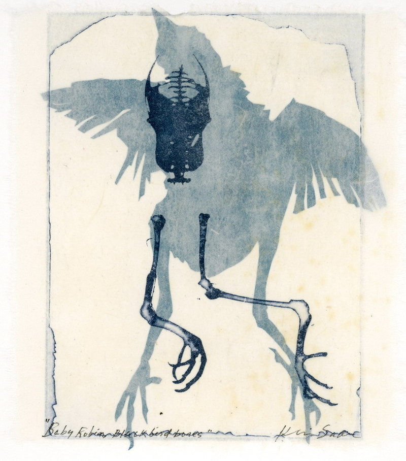 Kris Sader’s “Baby robin, Blackbird bones” collage