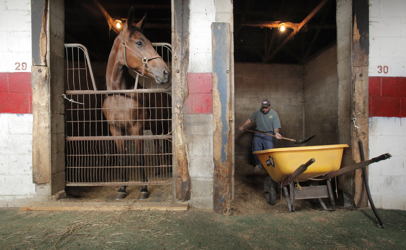 Reporter Ray Routhier cleans a stall at Scarborough Downs. He discovered it's a meticulous job.