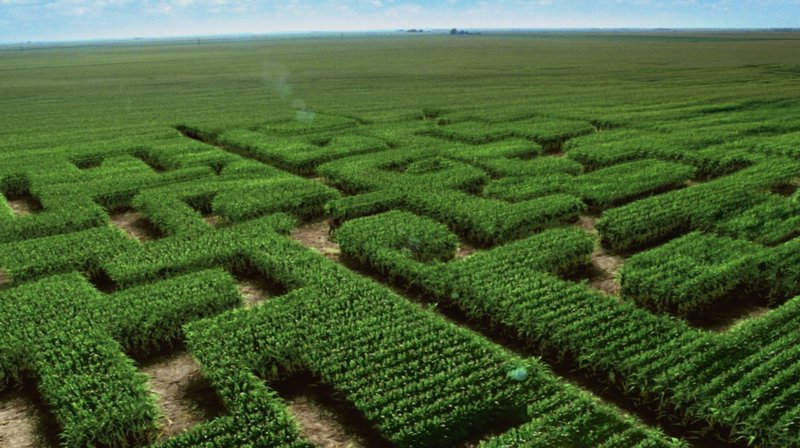 The makers of high fructose corn syrup want to change its image with a new name: corn sugar. The Corn Refiners Association, which featured a corn maze in a recent TV ad, has asked the FDA to approve the alternative name.