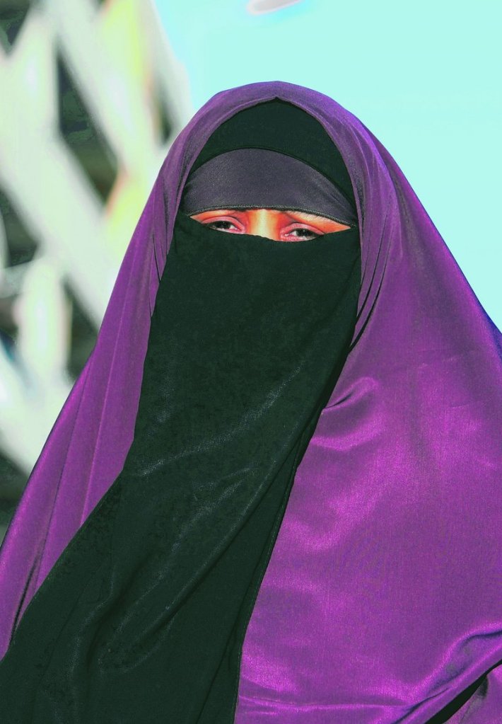 The new law does not target the burqa specifically, but can also be applied to a demonstrator or anyone who conceals his face with a hood or bandana.