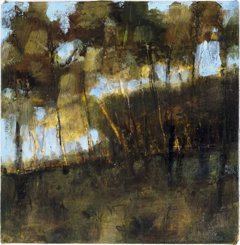 "Clearcut Sunset 1" by Tom Hall, at June Fitzpatrick Gallery in Portland