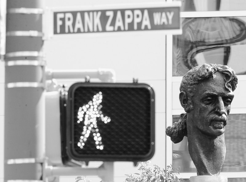 A bust of musician Frank Zappa went up Sunday in Baltimore, the city where the acclaimed star was born.