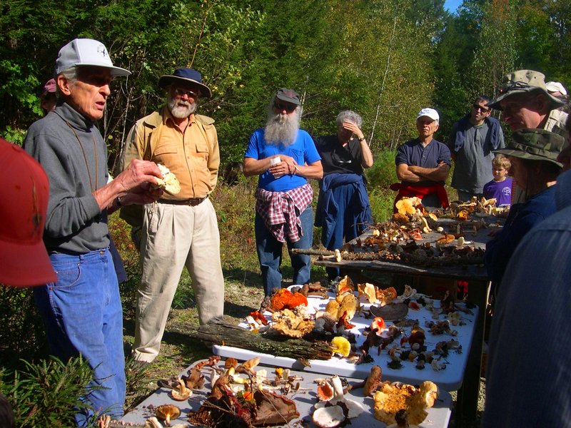 FIND OUT ABOUT FUNGI: A mushroom walk at 2 p.m. today in Bowdoinham, hosted by Friends of Merrymeeting Bay, will teach participants how to identify various mushrooms. Michaeline Mulvey, an experienced local mycologist, will lead the walk at the head of tide on the Abagadasset River at Carding Machine Road, off Route 24. Participants should register today by calling Misty Gorski at 737-8508 or by e-mailing fomb@suscom-maine.net.