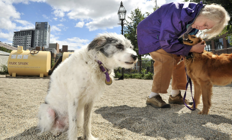 Louisa Solano visits a dog park in Cambridge with her pet Macedo, left. The tank behind them is part of a system that turns dog waste into fuel for powering a gas lantern, center rear.