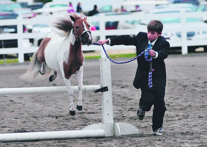Devin Maheu 9, of Bucksport leads his miniature horse Kitty over a jump during a competition at the Cumberland Fair on Sunday.