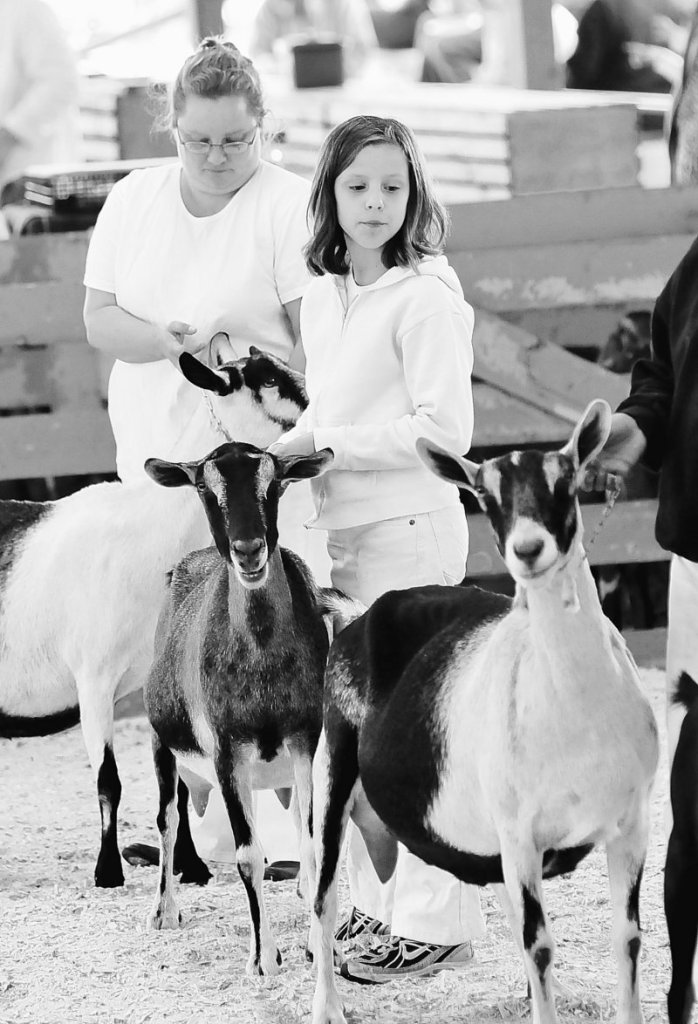 Reegan Hussey, 11, of Biddeford, with her mother, Tami Hussey, shows an Alpine dairy goat during the Cumberland County Fair on Sunday. The goats belong to Robert Cassette of Saco.