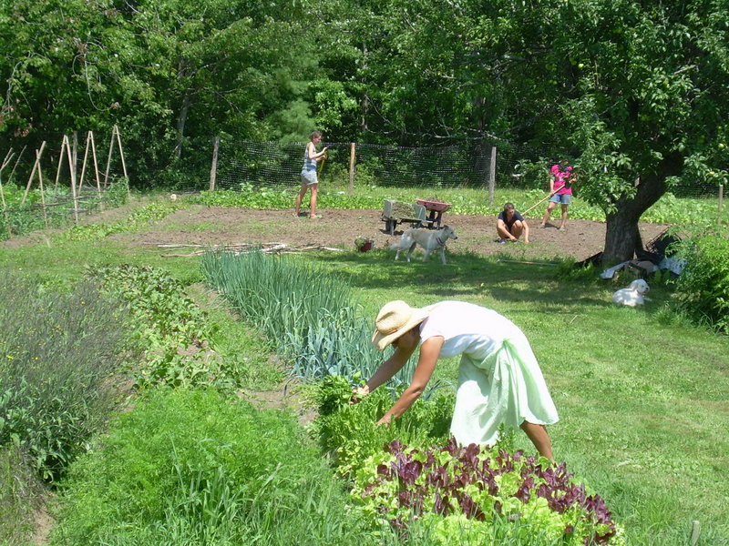 Christina Sidoti, owner of Paolina’s Way in Camden, tends her Well Fed Farm in Searsmont. The farm provides much of the produce for the restaurant’s menu.