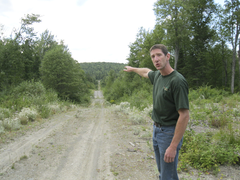 Maine hunting guide Sean Lizotte points to a logging road recently built in the forest near his sporting camps in Allagash. He said the road was built near a deer wintering yard and along a deer path, and will make whitetail deer in the areas more vulnerable to coyotes.