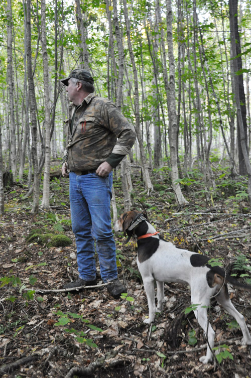 Maine Guide Bob Parker, owner of Stony Brook Outfitters, listens intently with one of his walker hounds as another hound sets out during a recent bear hunt.
