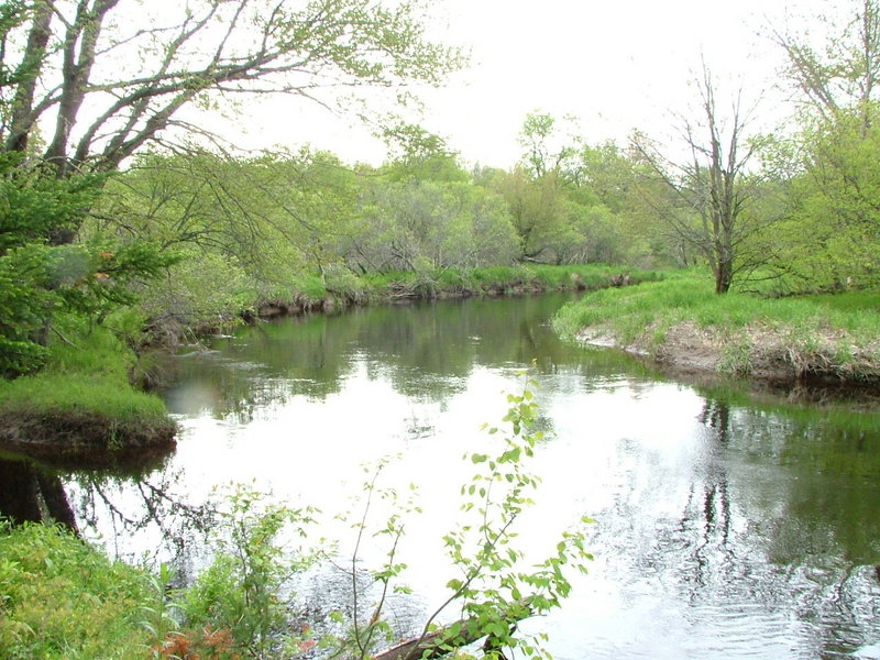 Join Georges River Land Trust for a nature walk along the St. George River in the Appleton Preserve from 10 a.m. to noon Thursday. The 124-acre preserve, on Route 105 in Appleton a quarter mile south of the intersection with Route 131, features a diversity of wildlife habitat, from the river to forested uplands. The property is conserved because of public bond funds through the Land for Maine’s Future program. For more information, go online to www.grlt.org or call 594-5166. Nature walk participants are asked to park in the lot maintained by the Department of Inland Fisheries and Wildlife at the St. George River bridge on Route 105.