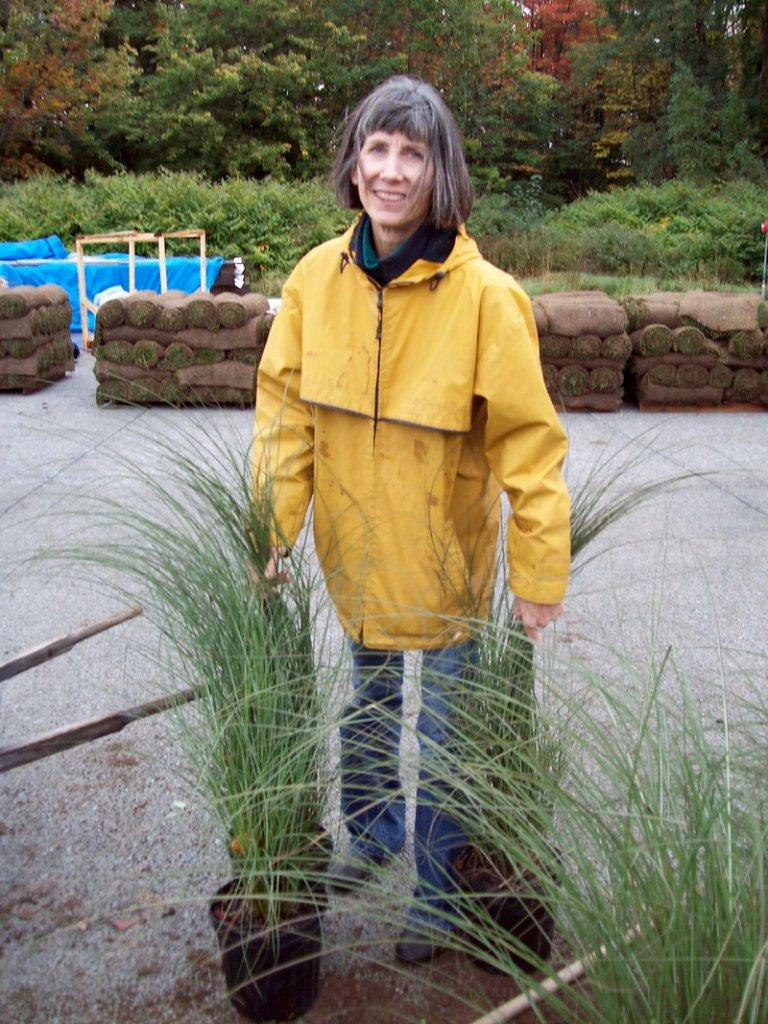 Amelia Small of Salmon Falls Nursery and Landscaping carries some grasses. She designed the garden.