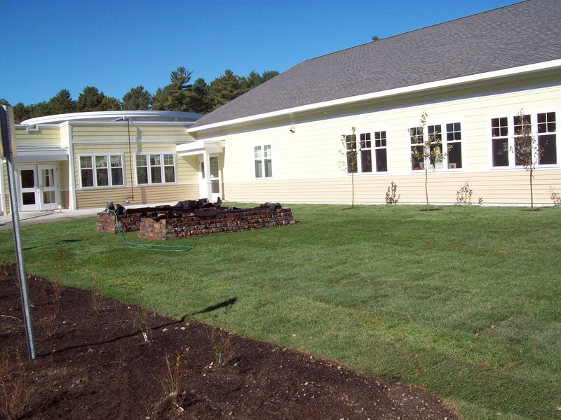 A day after the work, the raised beds and fruit trees grace the lawn.