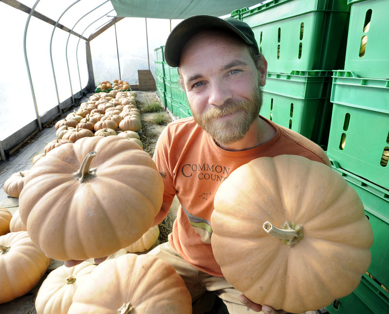 Chris Cavendish of Fishbowl Farm in Bowdoinham with some of the 1,000-plus pounds of Long Island cheese squash that he grew this season.