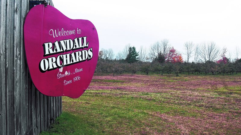 Randall Orchards covers 500 acres in Standish. The orchard offers apple picking, cross-country skiing and walking trails.