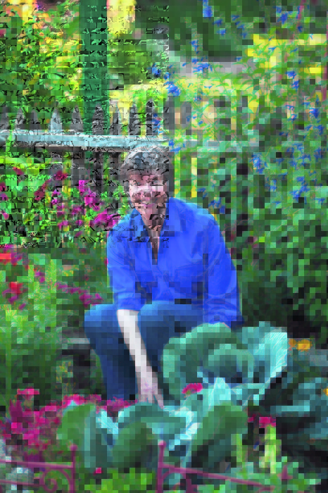 Rosalind Creasy, the author of "Edible Landscaping" and "Cooking from the Garden," will lecture in Lewiston on Oct. 27.