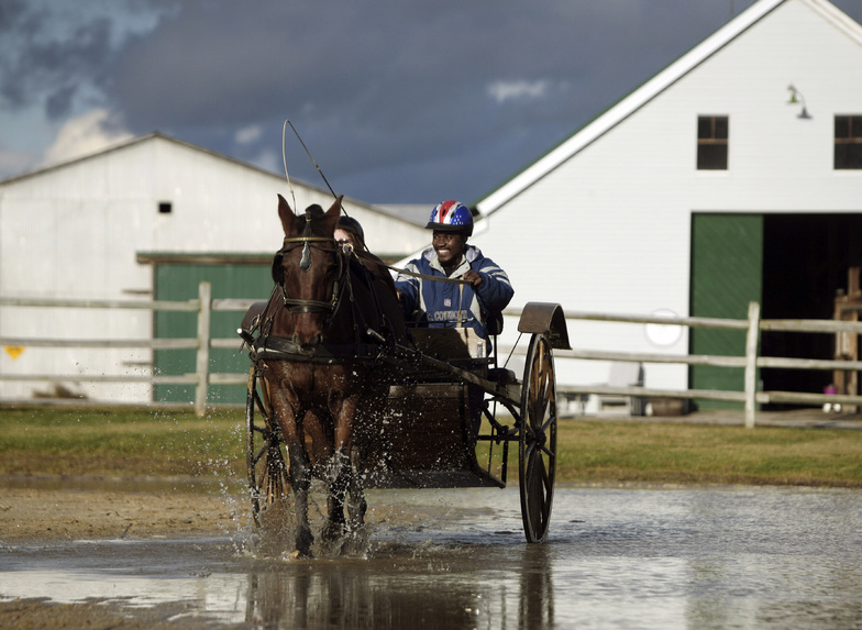 Kesner "Salvi" Salvent drives a horse carriage at Equest Therapeutic Riding Center in Lyman, Maine, where he is undergoing occupational and physical therapy to help strengthen his hands and fingers.