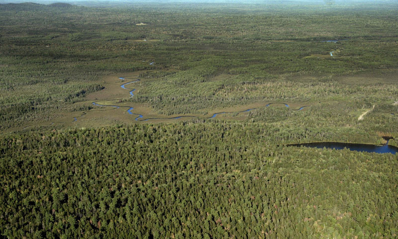 An aerial view of Maine's North Woods near the Allagash Wilderness Waterway.