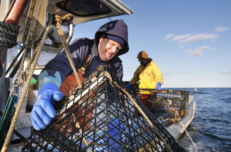 Long Island Lobsterman Mike Floyd hauls a trap aboard his lobster boat, the Kathleen II, in 2008. Floyd and other lobstermen are hurting from a steep drop in the price of lobster due to the global financial turmoil.