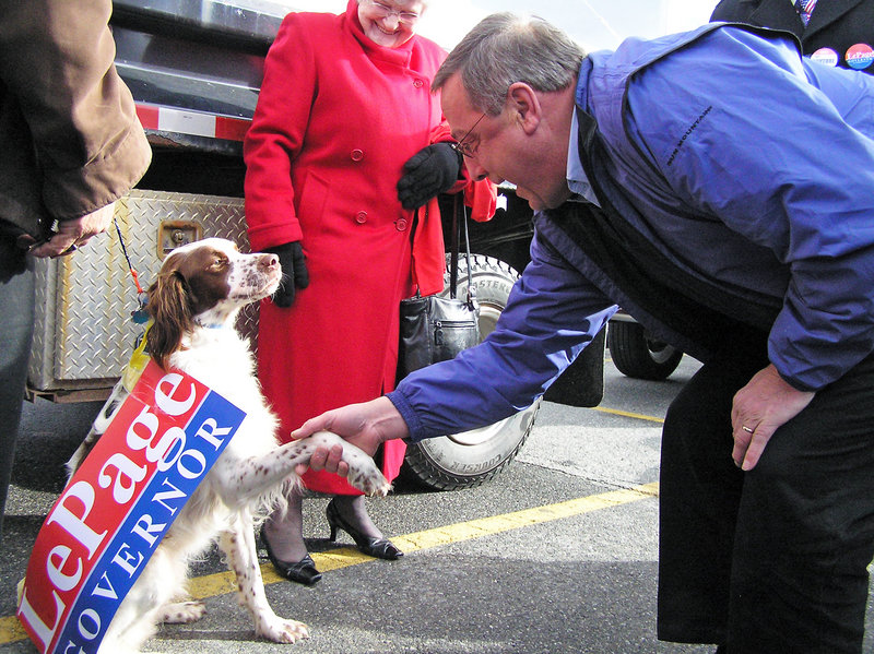 Republican gubernatorial candidate Paul LePage greets George, whose owner, Harvey Calden of Jay, was among those attending a rally Sunday at Jay Plaza.