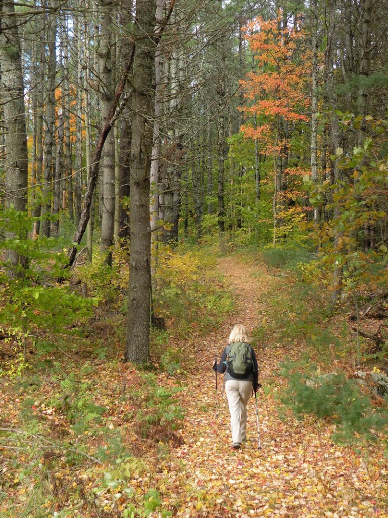 At the Curtis Homestead Conservation Area in Leeds, trails provide three miles of pleasant hiking through varied woods. The property was donated to the Kennebec Land Trust by former Gov. Kenneth Curtis and his sister.