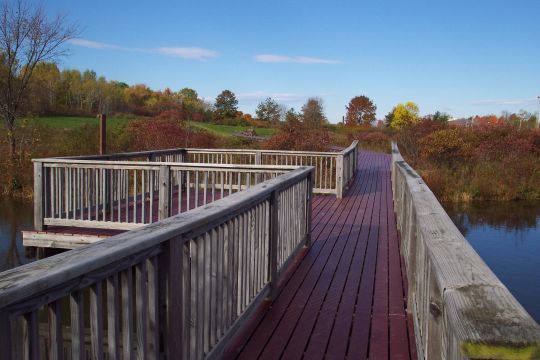 The Viles Arboretum in Augusta will celebrate the re-opening of its refurbished wetland boardwalk from 3 to 4 p.m. today. The boardwalk provides a path through a cattail wetland and open-water habitat. Its elevated vantage point offers an opportunity to view wildlife, especially abundant bird life. The arboretum at 153 Hospital St. provides 224 acres of field, forest and wetland in the heart of the capital. For more information, go online to www.vilesarboretum.org or call 626-7989.