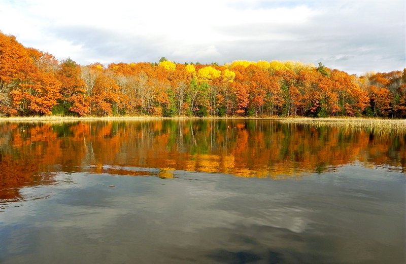 An autumn paddle along a 5-mile stretch of the Cathance River, starting in Bowdoinham, provides smooth water for foliage reflections, along with plenty of birds.