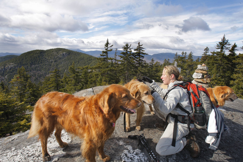 At the summit of East Royce Mountain, Higgins takes the pack off C.J., center, after hiking up with him and her two other golden retrievers Molly, left, and Abby.