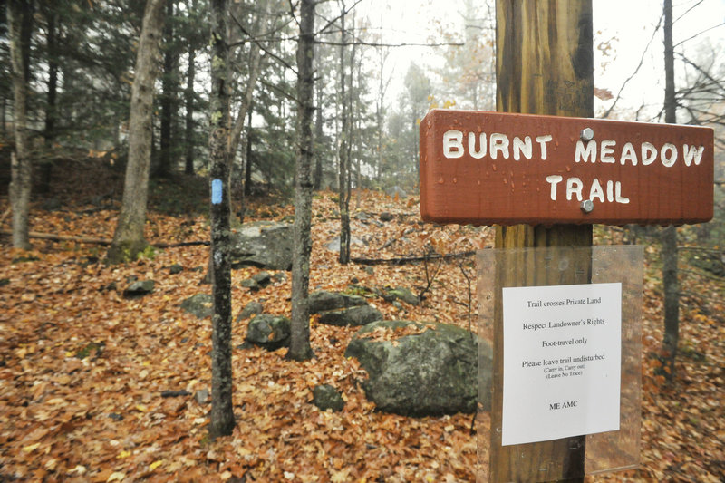 Burnt Meadow Trail provided a foggy hike for students in the nature writing class.