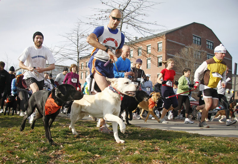 Hans Brandes, center, of Falmouth and his yellow Lab, Kona, join other participants at the start of the first Bayside Trail 5K Race on Sunday, benefiting Portland’s new Bayside Trail.